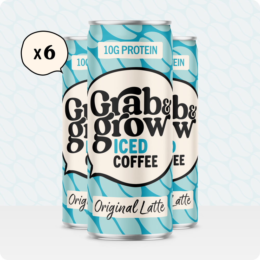 Iced Coffee Original Latte - 6 pack